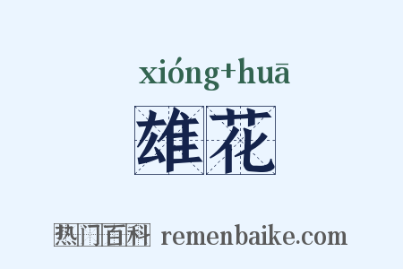 雄花是什么意思的图片